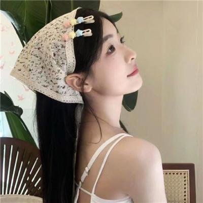 大盗贺钦布龙兹